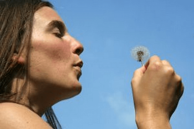 ¿Alergia? Combátela naturalmente