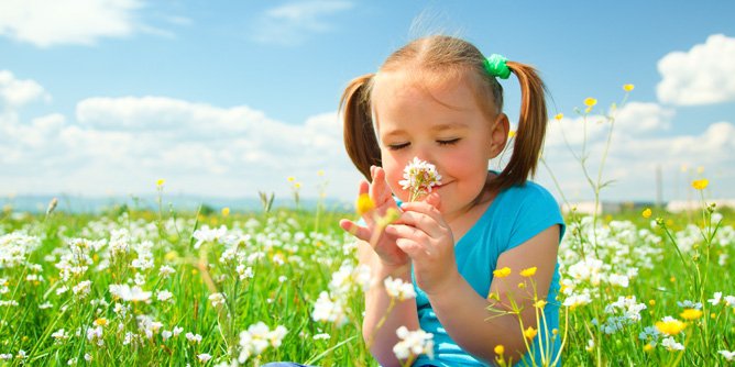 Ambientador gota a gota