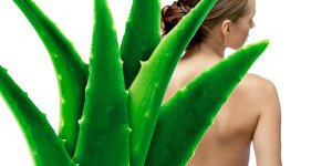 Nuevo quitagrasas con Aloe Vera agerul