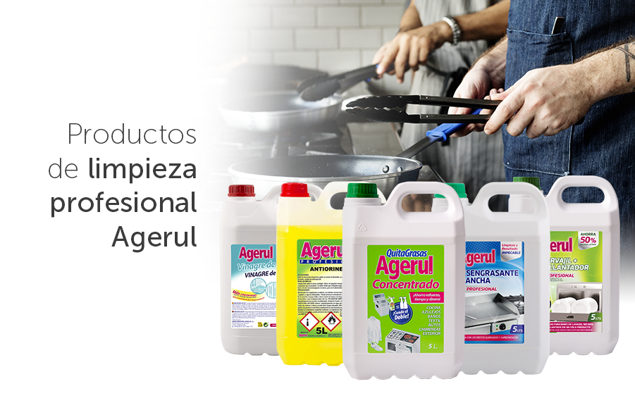 limpieza profesional